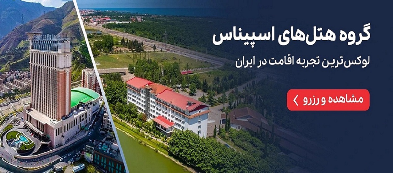 گروه هتل های اسپیناس